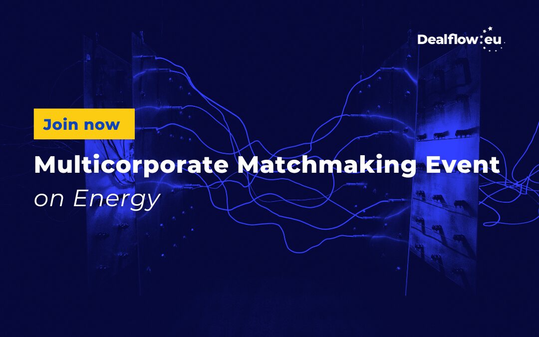 Multicorporate Matchmaking Event on Energy