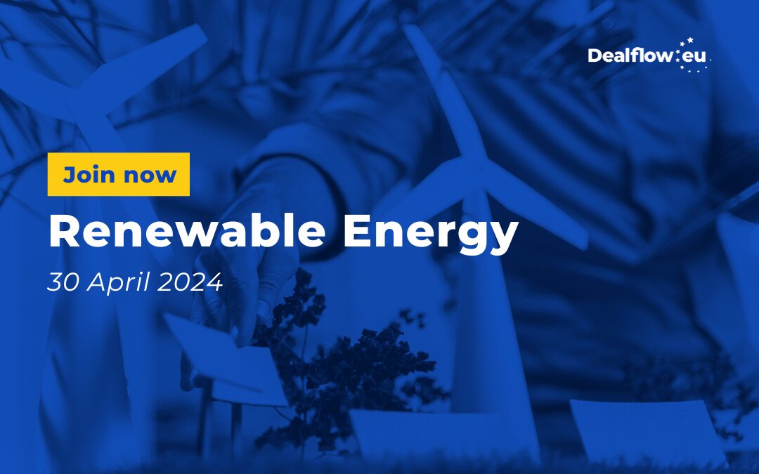 Renewable Energy E-Pitching Event | 30 April 2024